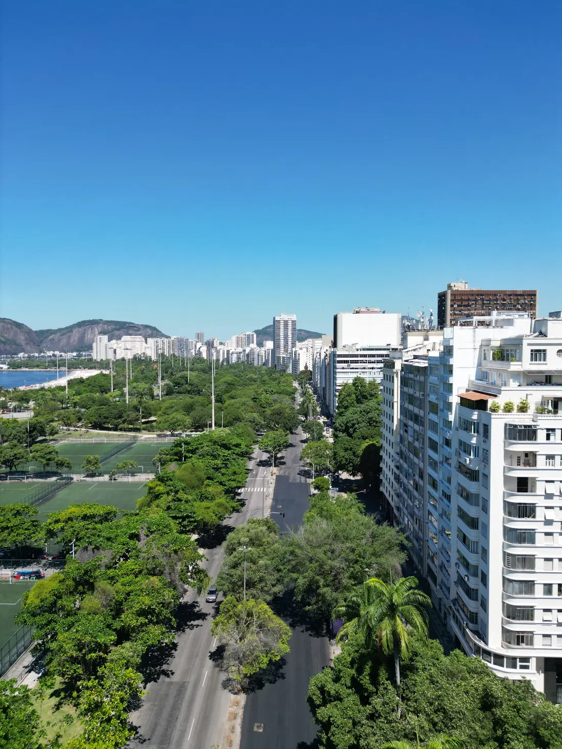 Avenida arborizada do Aterro do Flamengo em frente ao prédio